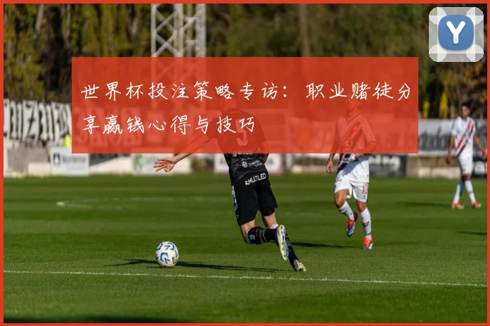 世界杯投注策略专访：职业赌徒分享赢钱心得与技巧