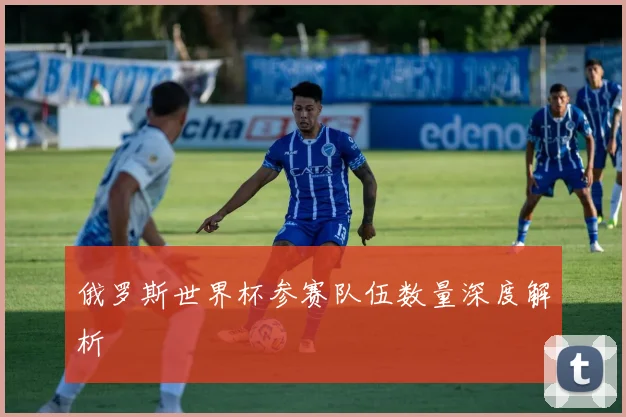 俄罗斯世界杯参赛队伍数量深度解析