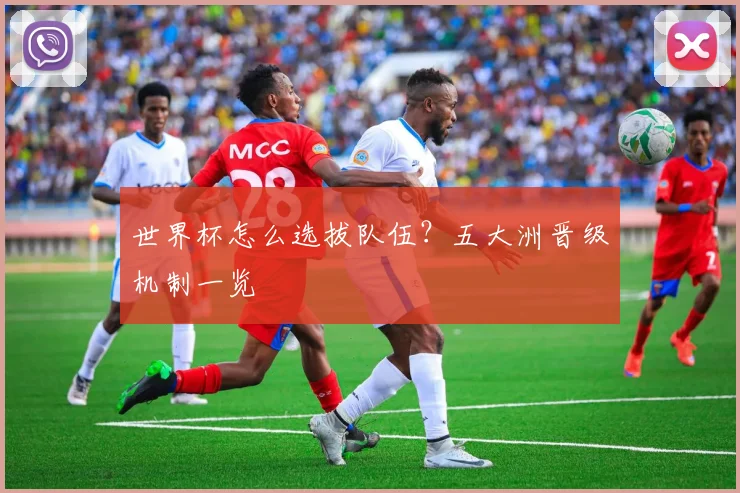 世界杯怎么选拔队伍？五大洲晋级机制一览