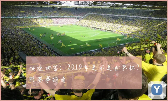 快速回答：2019年是不是世界杯？附赛事指南